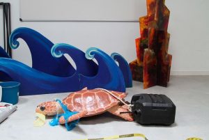 El rescate de la tortuga